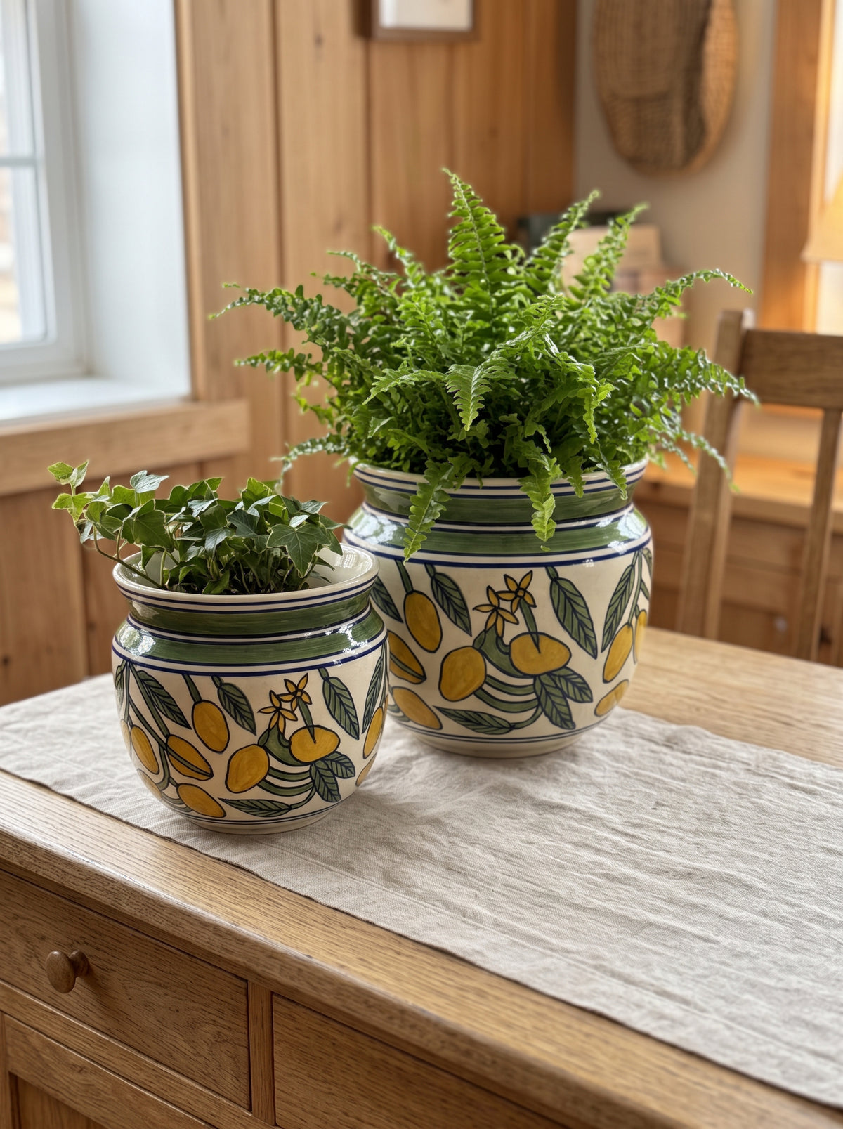 Nimbu Citrus Planter Set