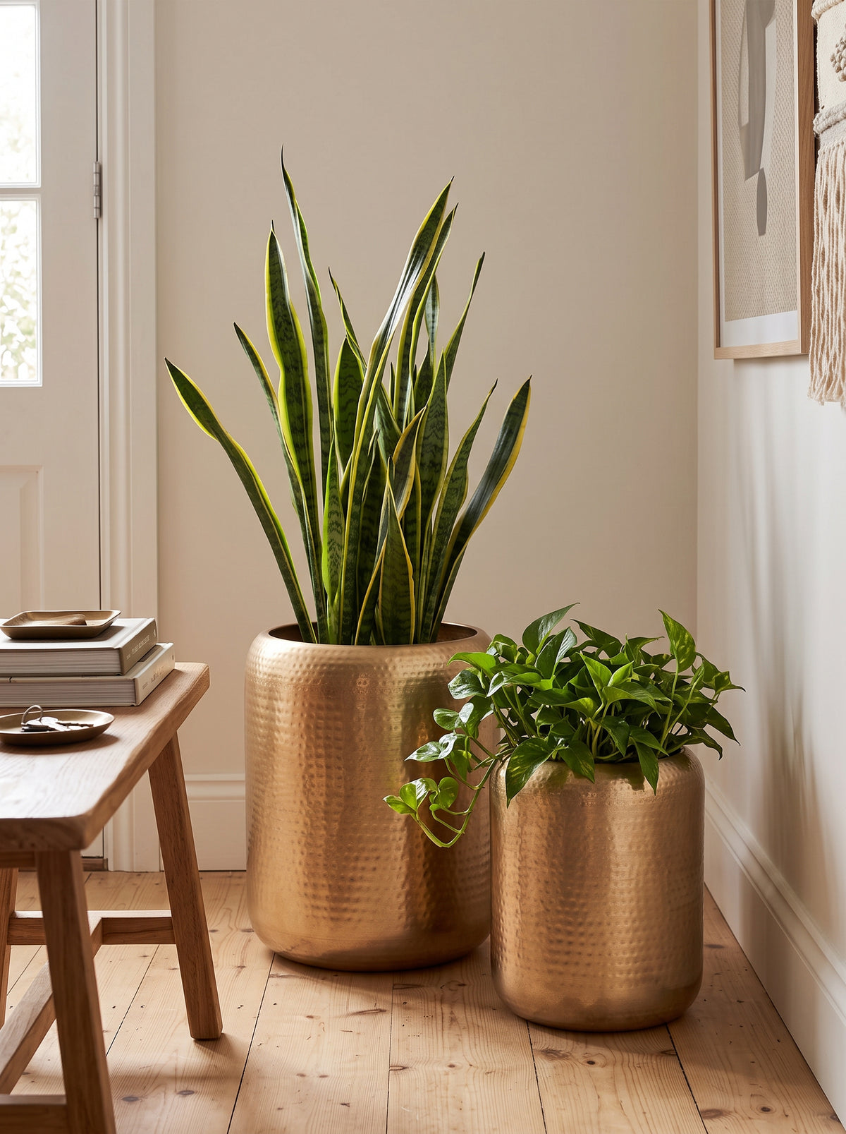 Kansa Hammered Brass Planter Set