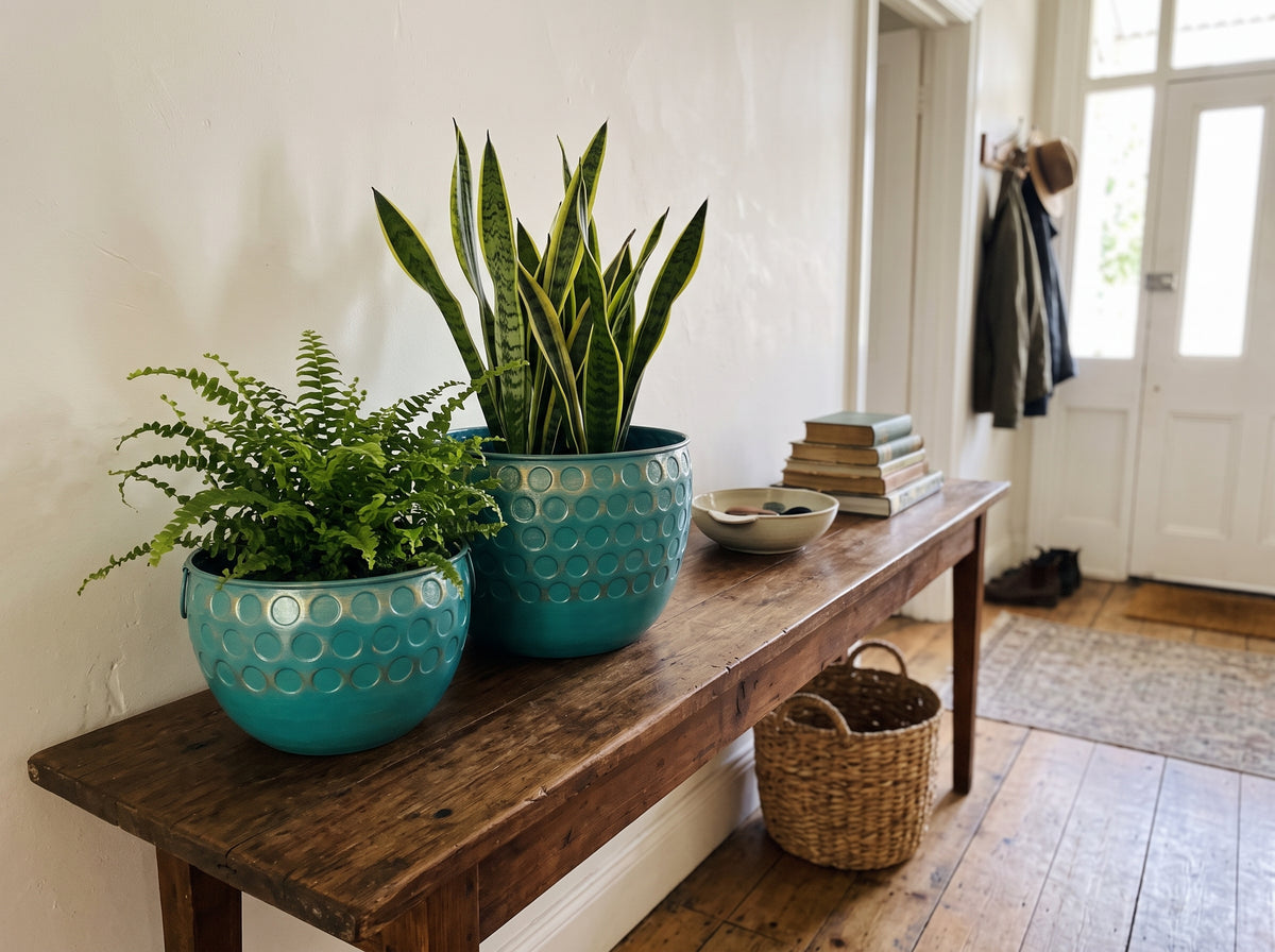 Aqua Chakra Planter Set