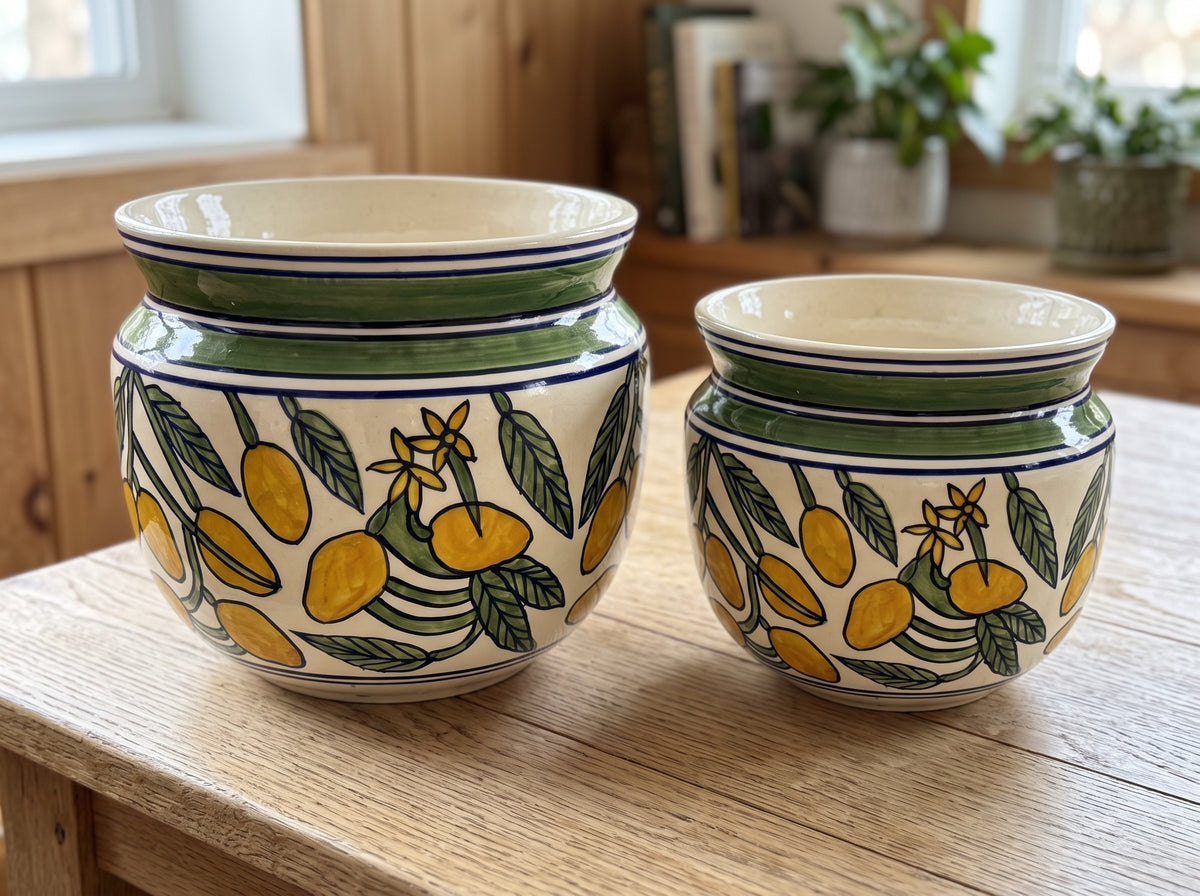 Nimbu Citrus Planter Set