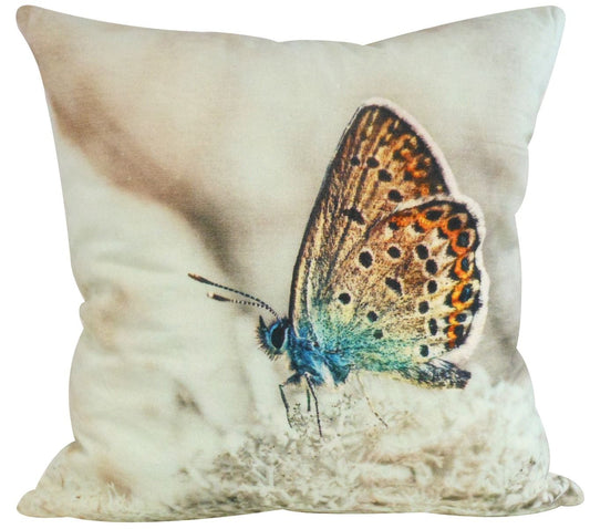 Butterfly cushion