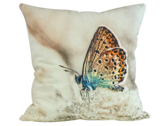 Butterfly cushion